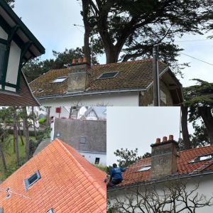 Démoussage antimousse La Baule